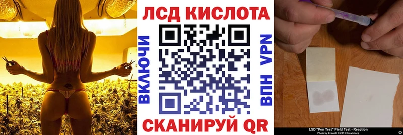 купить   Кызыл  Марки N-bome 1500мкг 