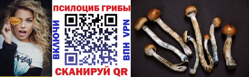 Псилоцибиновые грибы ЛСД  Кызыл 
